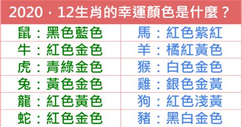 龍年幸運色|百工百業》2024龍年行大運 12生肖流年數字、幸運色報你知